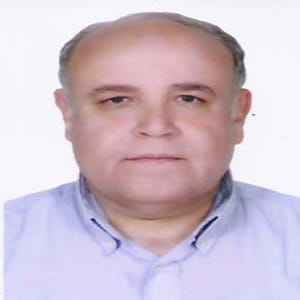 Atef Abdelhamid Khalil Elekiabi