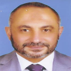 Hany Mohamad Hamed